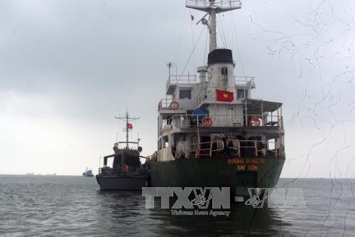 Bà Rịa-Vũng Tàu Bắt tàu Dương Đông 18 bơm chuyển dầu trái phép trên biển với số lượng lớn